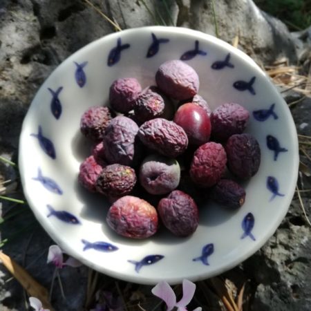 Poterie à Milina - II