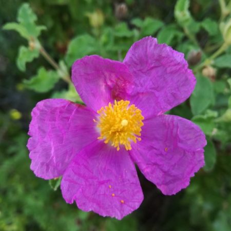 Qu'est-ce qu'on fait?