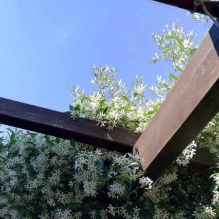 Poterie, farniente - la vie parfaite