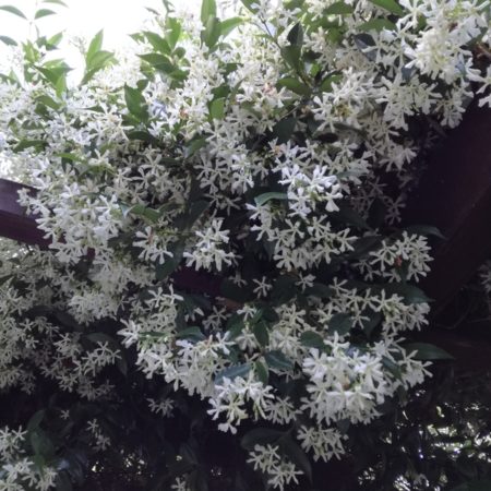 Igoumenitsa - Mourtitsa