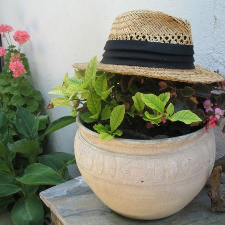 Moments particuliers