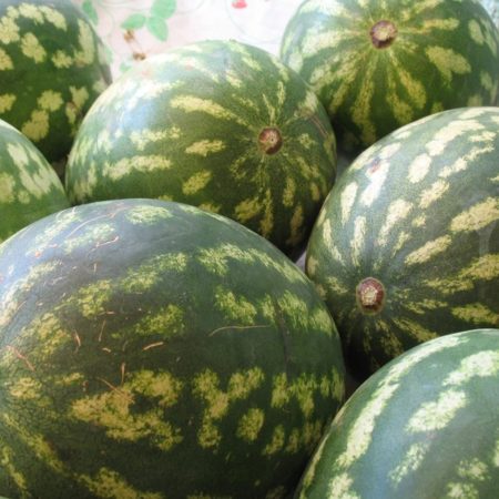 Le marché du samedi